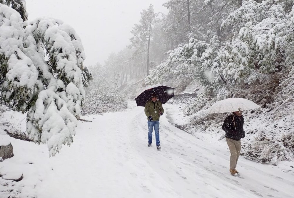 Himachal आठ फरवरी तक मैदानी भागों में साफ रहेगा मौसम ऊंचाई वाले स्थानों पर बारिश बर्फबारी के आसार