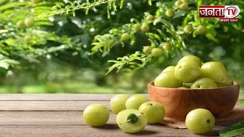 Benefits of Amla : आवंला बनाएगा बालों को मजबूत ,ऐसे करें उपयोग 